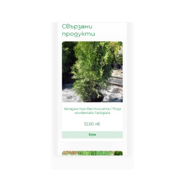 Редизайни в модернистичен стил от Он-лайн системи БЪЛГАРИЯ